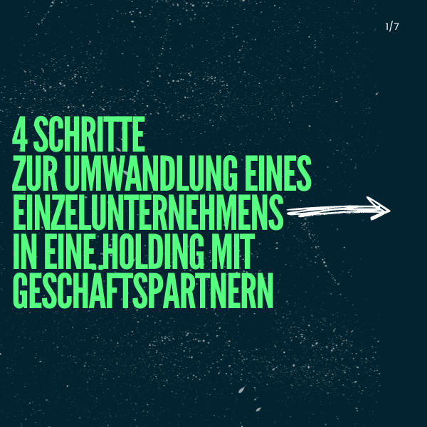 holdingstruktur2